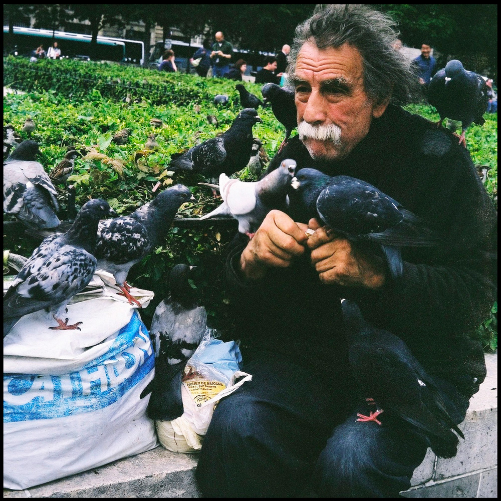 “Color photograph of a homeless man surrounded by pigeons in Paris, some perched on him, taken with a Mamiya camera.”